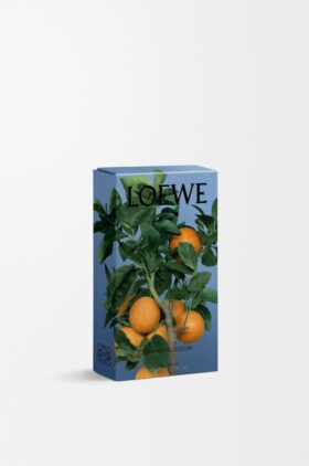 Appelsinblomst romsprayer