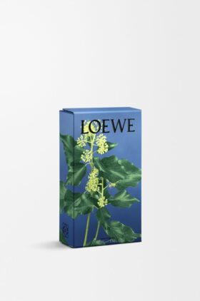 Eføy romspray