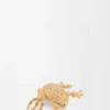 Froskebrosje Froskebrosje