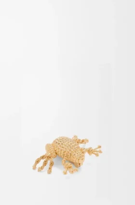 Froskebrosje