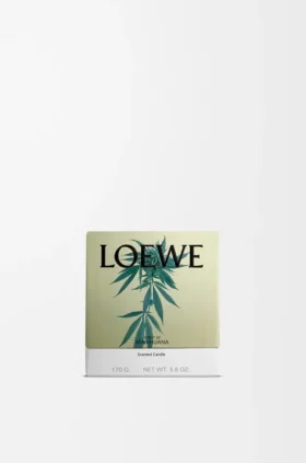 Liten duftlys med Scent of Marihuana