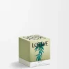 Liten duftlys med Scent of Marihuana