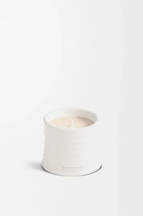 Liten oregano-stearinlys