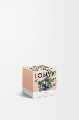 Liten oregano-stearinlys
