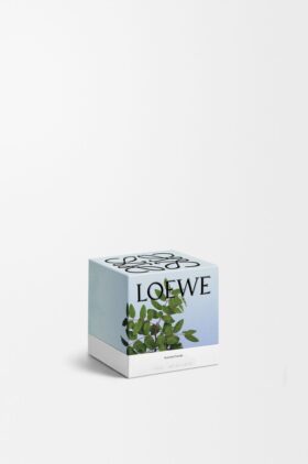 Liten røkelse-lys