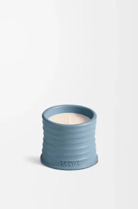 Liten stearinlys med sypresskongler