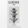 Loewe 001 Man Eau de Toilette 100 ml