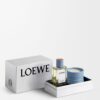 LOEWE Parfymer Dufter til hjemmet Sypresskongler Gavesett