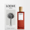 Loewe Solo Cedro 50 ml