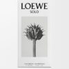 Loewe Solo EDT 100 ml
