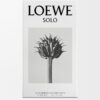 Loewe Solo EDT 150 ml
