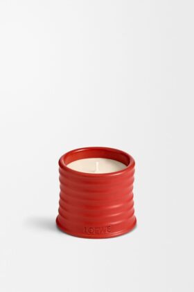 Lys med små tomatblader