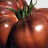 Tomatblader romsprayer Tomatblader romsprayer
