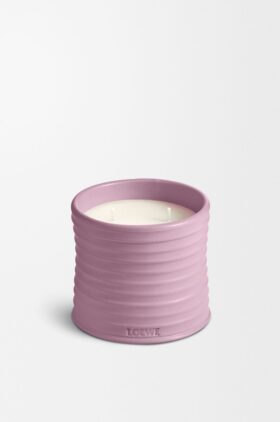 Medium Eføy Candle