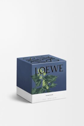 Medium Eføy Candle