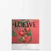 Medium «Tomatblader»-stearinlys Medium «Tomatblader»-stearinlys
