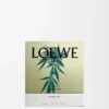 Middels stor duftlys med Scent of Marihuana Middels stor duftlys med Scent of Marihuana