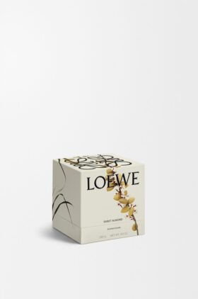 Midi Sweet Almond Candle