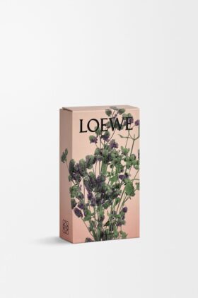 Oregano romspray