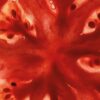 Tomatblader Hand Cleanser Tomatblader Hand Cleanser