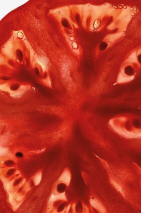 Tomatblader Hand Cleanser
