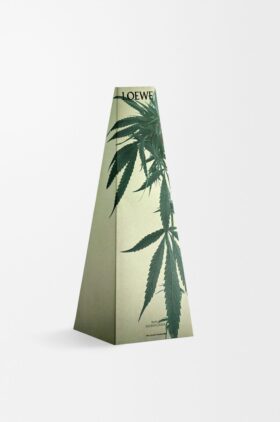 Scent of Marihuana-vokslysestake Scent of Marihuana-vokslysestake
