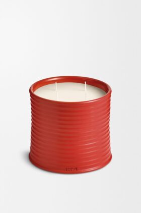 Stearinlys med store tomatblader