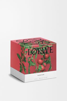 Stearinlys med store tomatblader