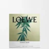 Stort duftlys med Scent of Marihuana Stort duftlys med Scent of Marihuana