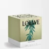 Stort duftlys med Scent of Marihuana Stort duftlys med Scent of Marihuana