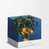 Stort lys med appelsinblomst