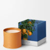 Stort lys med appelsinblomst