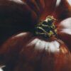 Tomatblader vokslysestake Tomatblader vokslysestake
